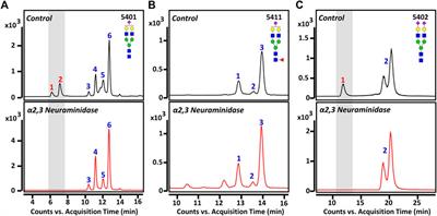 Isomer-Specific Monitoring of Sialylated N-Glycans Reveals Association of α2,3-Linked Sialic Acid Epitope With Behcet’s Disease